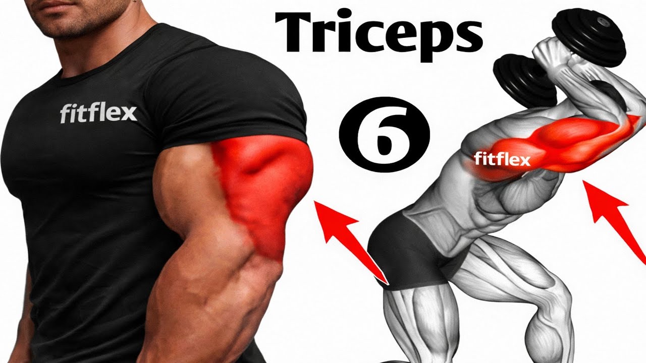 6 Best Exercises To Get Big Triceps Workout – THE GYM | Build Massive Arms Fast