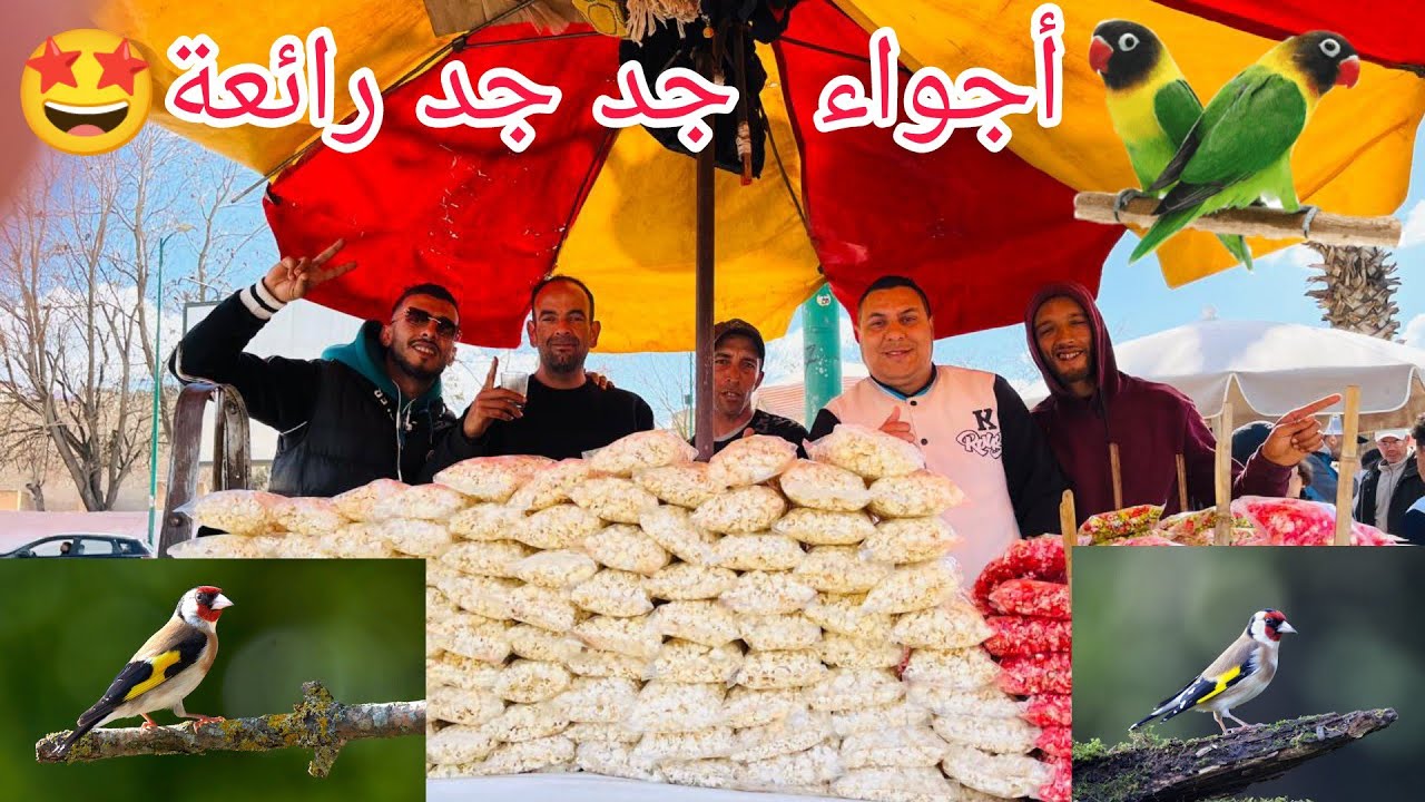 أجواء رائعة 👍بسوق الطيور 🦜بمدينة مكناس🇲🇦 ومسابقات 🤩🤩وفرجة ممتعة :0619227462