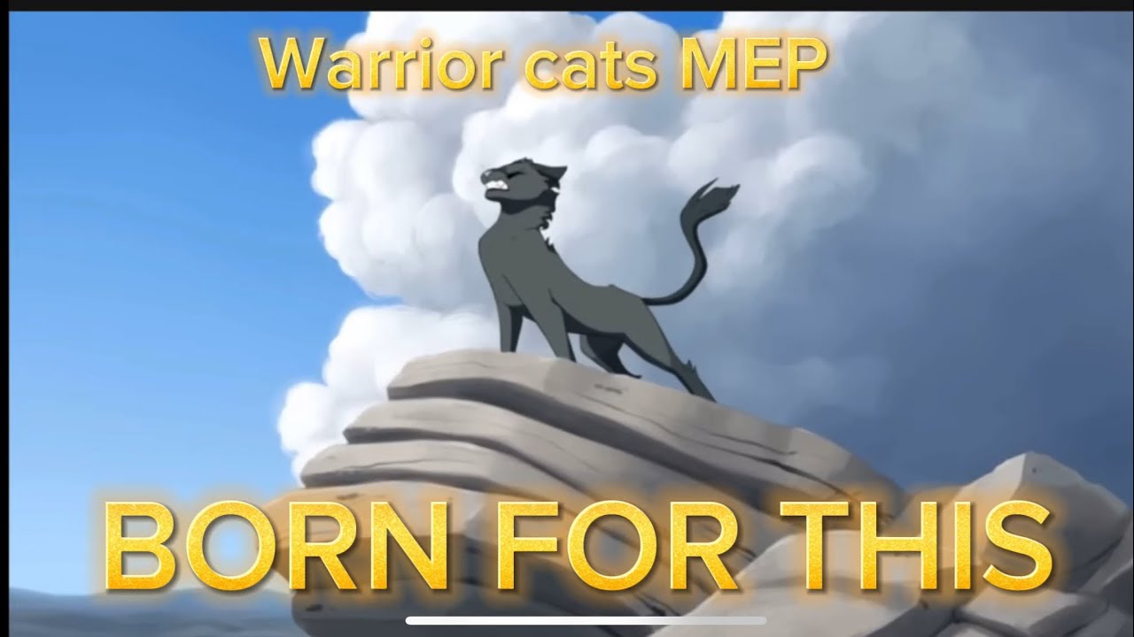 ~Born for this~ warrior cats MULTI-EDITOR PROJECT