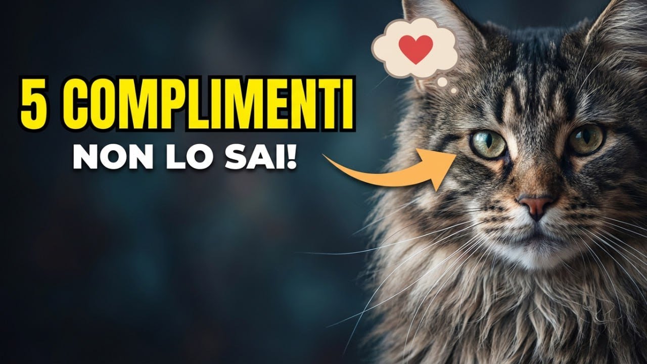 La SCIENZA Rivela: 5 Complimenti Che il Tuo Gatto Ti Fa OGNI GIORNO