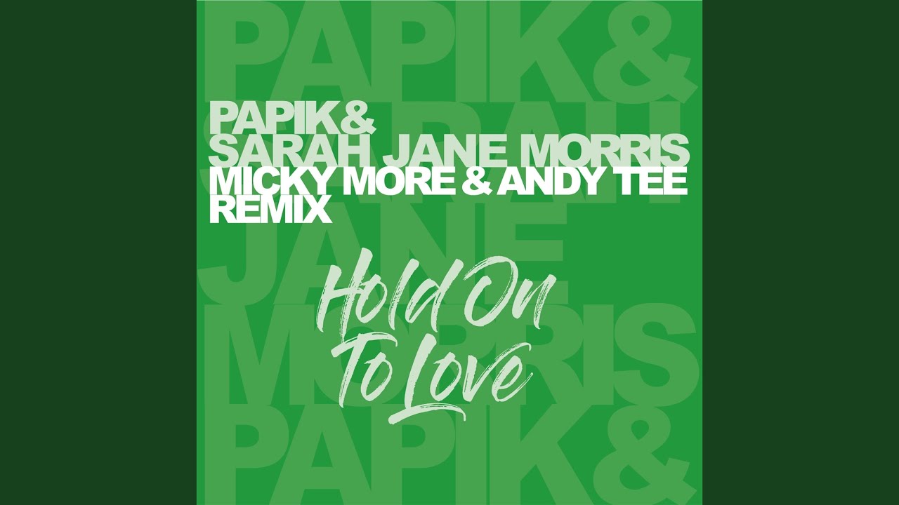 Hold On To Love (Micky More & Andy Tee Remix Radio Edit)