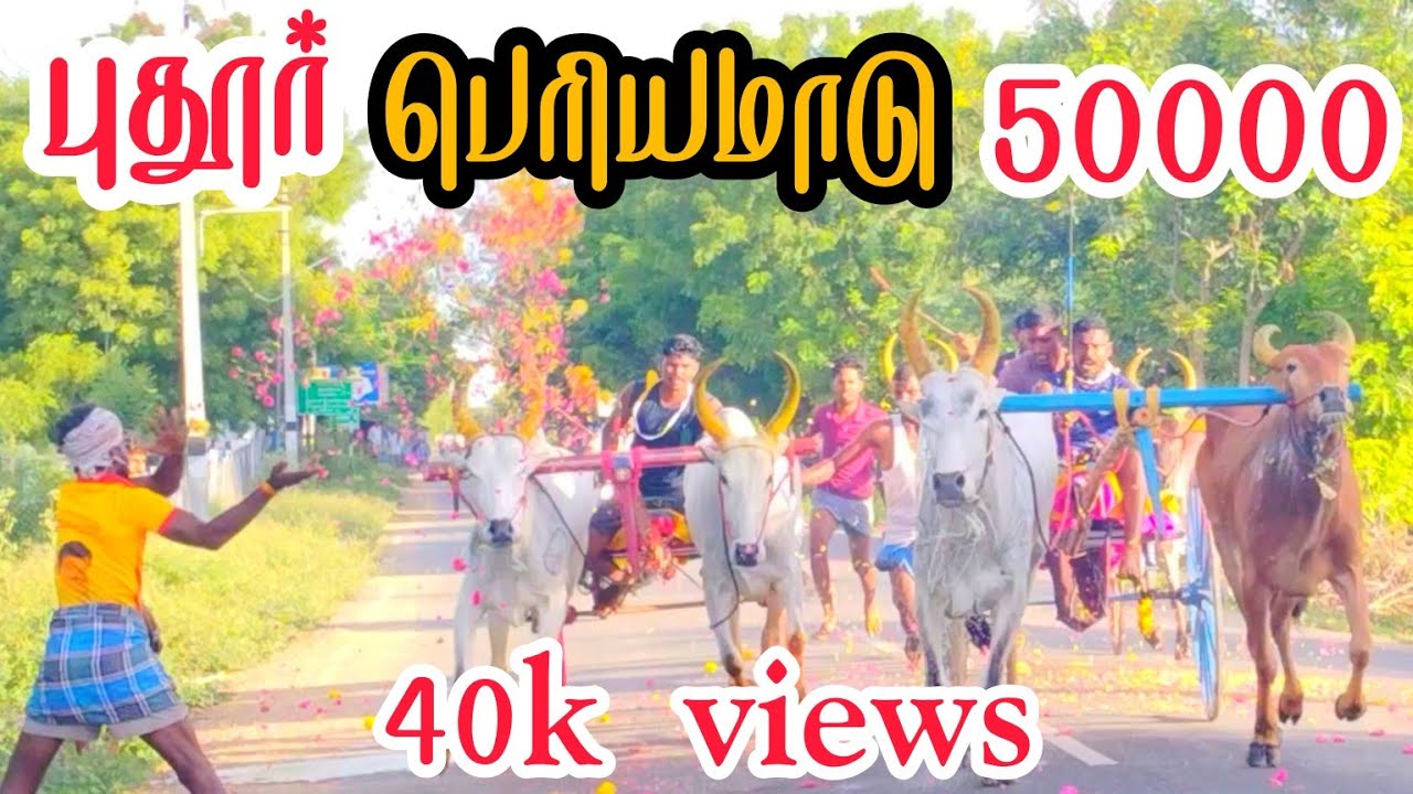 1 தூத்துக்குடி மாவட்டம் புதூர் பந்தயம்