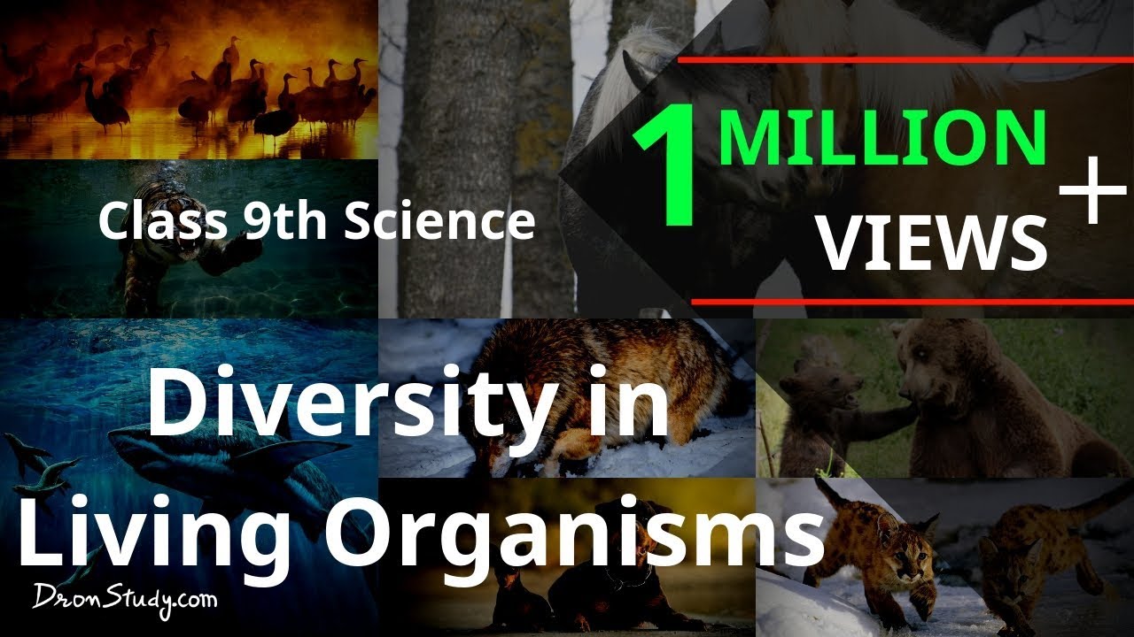 Diversity in Living Organisms : CBSE Class 9 IX Science - Free Education