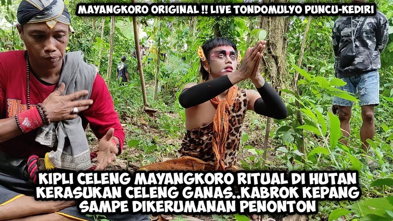 Kipli Celeng Ritual Di Hutan❗Kerasukan Celeng Ganas MAYANGKORO ORIGINAL Live Tondomulyo Puncu Kediri