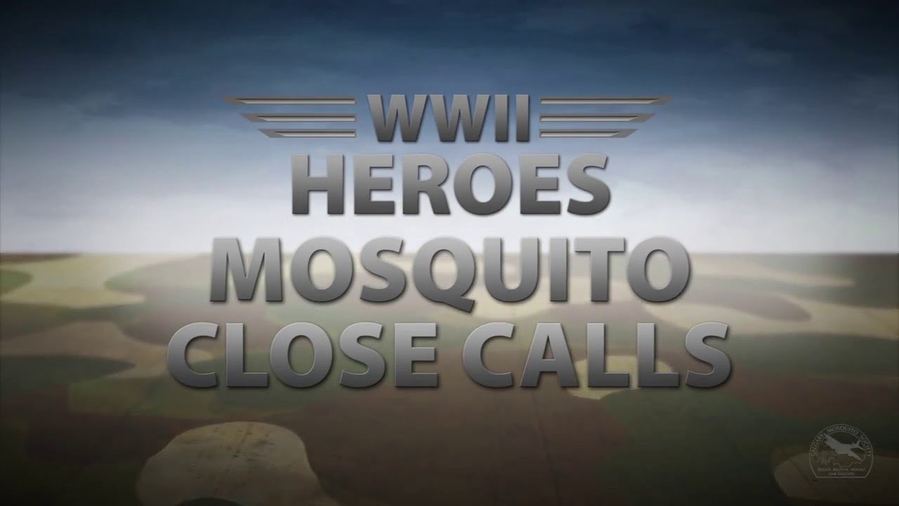Mosquito:  Close Calls