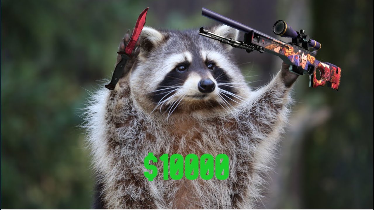 Racc's 2025 $10,000 CS2 Inventory Showcase