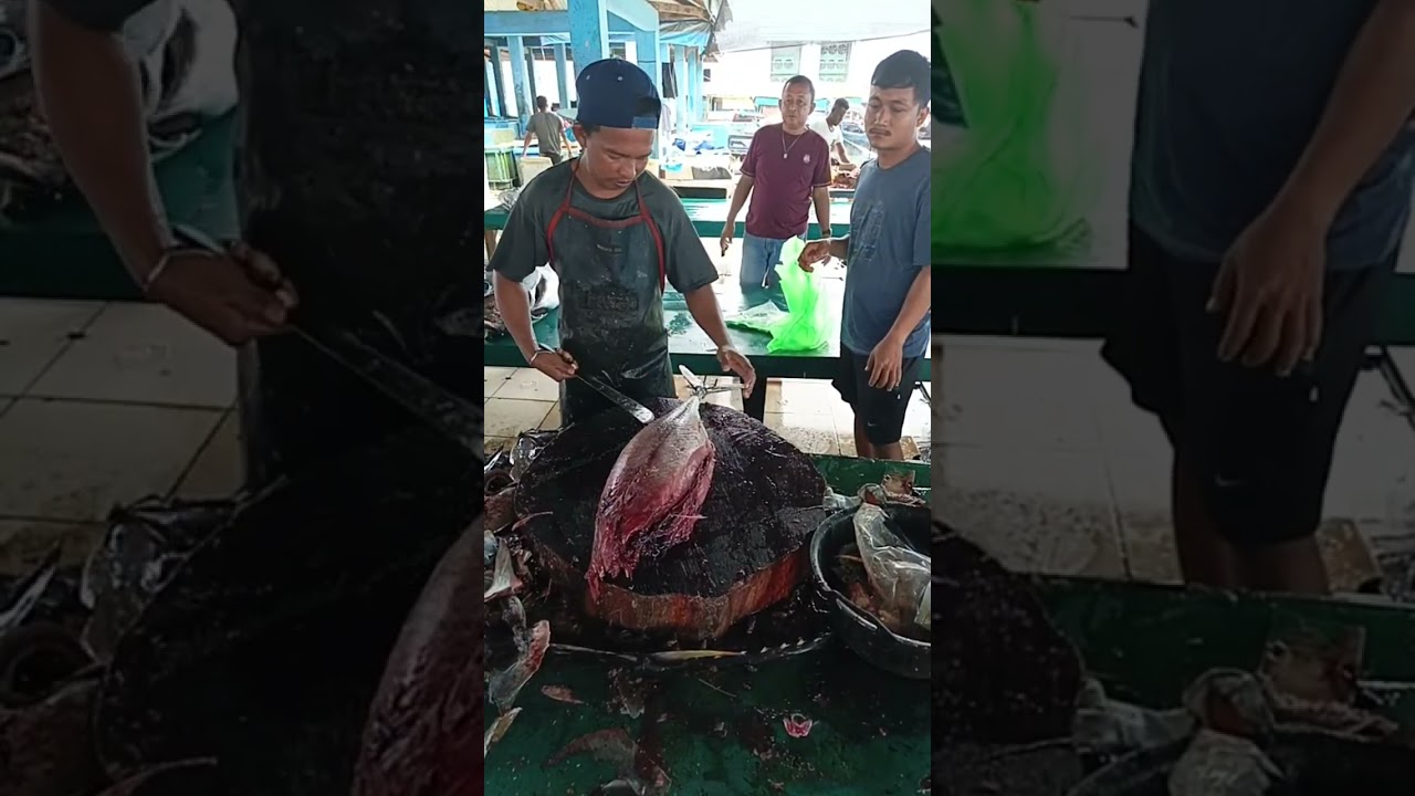 The process of peeling the tuna skin and fillet by Bang Iwan 
