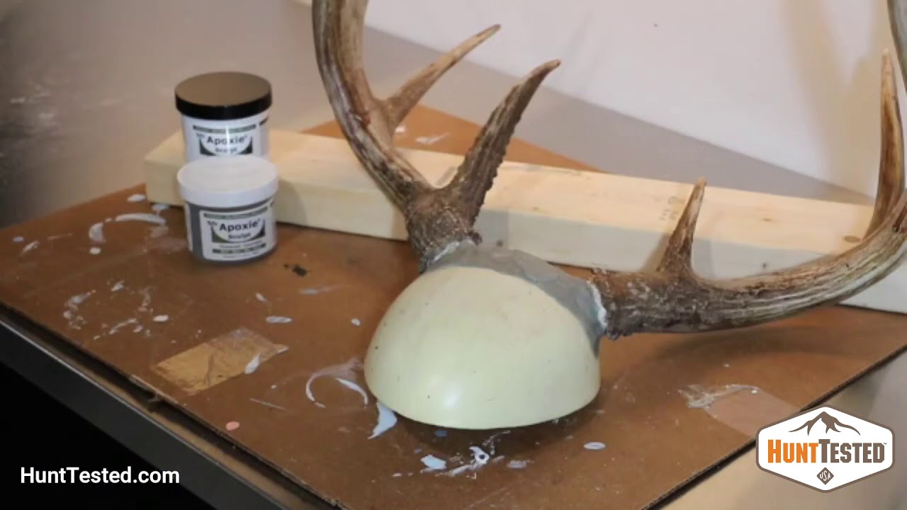 Mounting Antlers in 6 Easy Steps