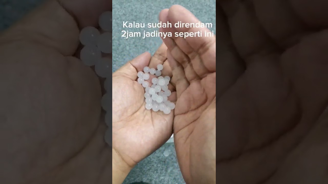BB WGG Water Gell 7-8mm Milky untuk Amo Unit Water Gell Blaster. #dcobra #watergelblaster #wgg