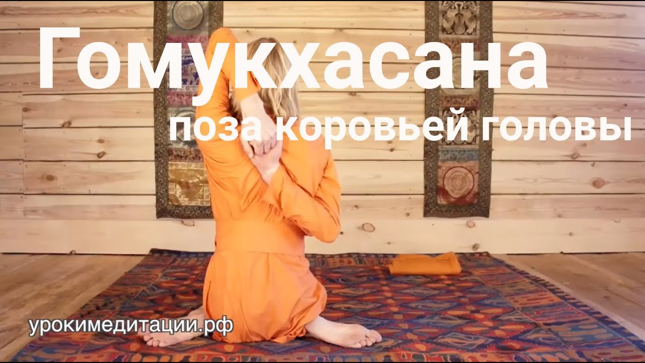 АСАНА №15. ГОМУКХАСАНА (ПОЗА КОРОВЬЕЙ ГОЛОВЫ). Йога асаны