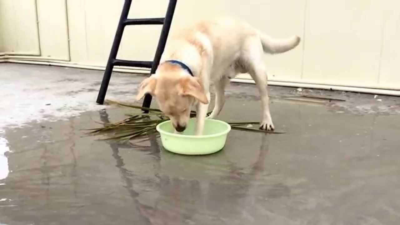 hush play with water(slow motion)