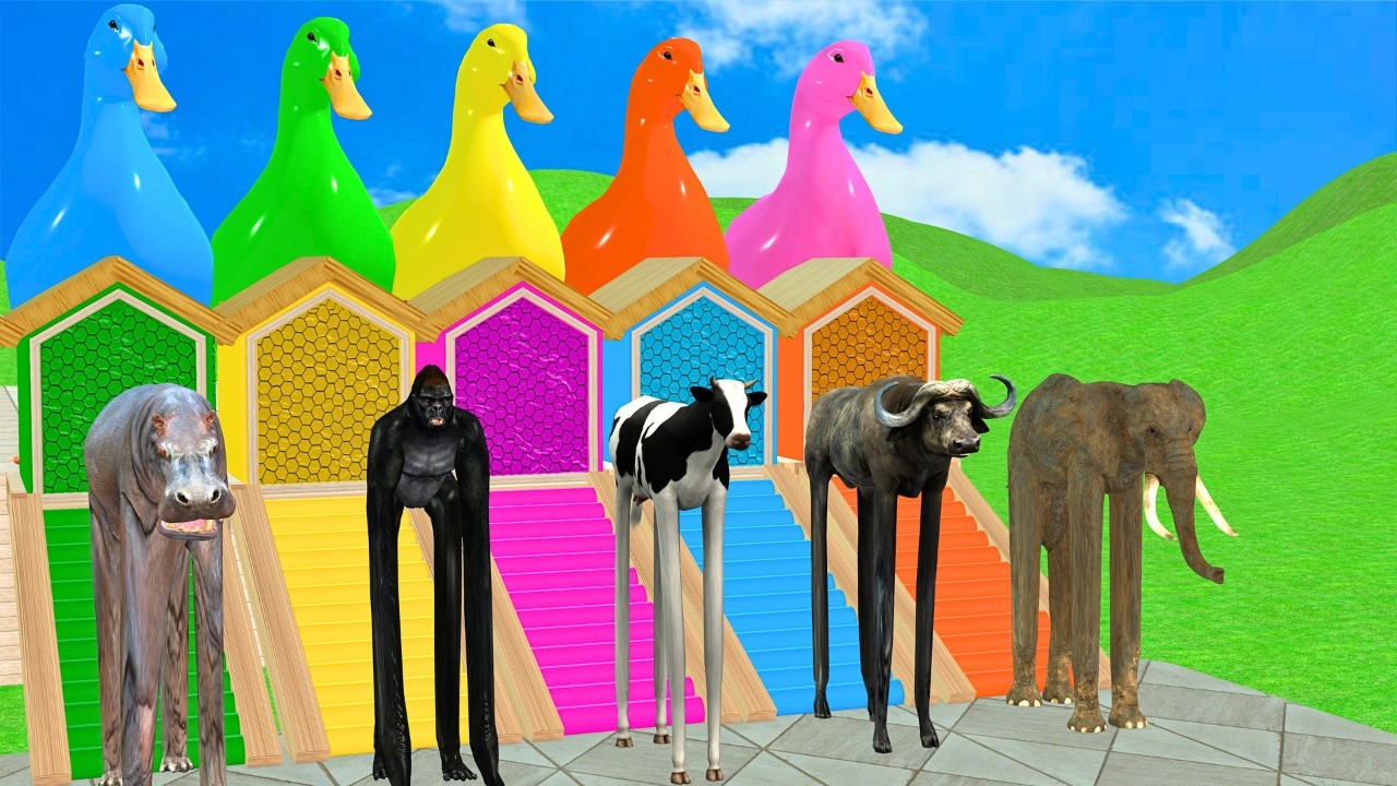 Long Slide Game With Elephant Gorilla Buffalo Hippopotamus Tiger 3d Animal Game Funny 3d Animals