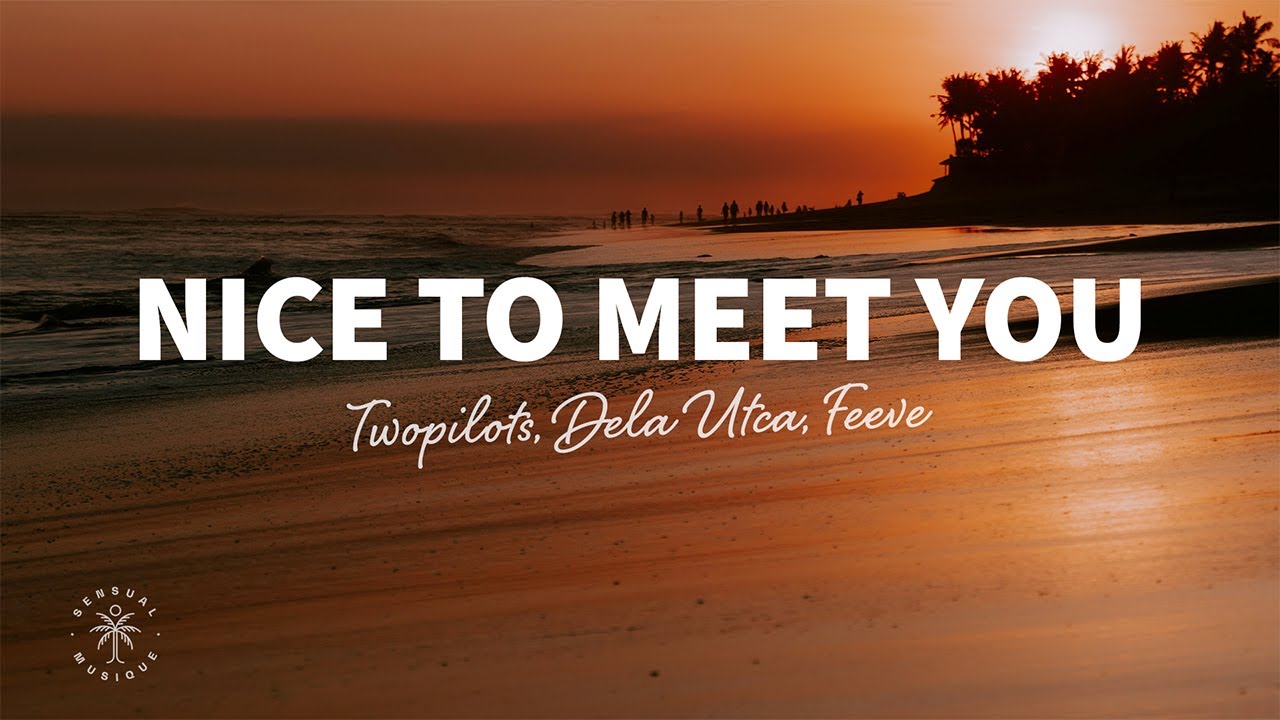 TWOPILOTS, Dela Utca - Nice To Meet You (Lyrics) ft. Feeve