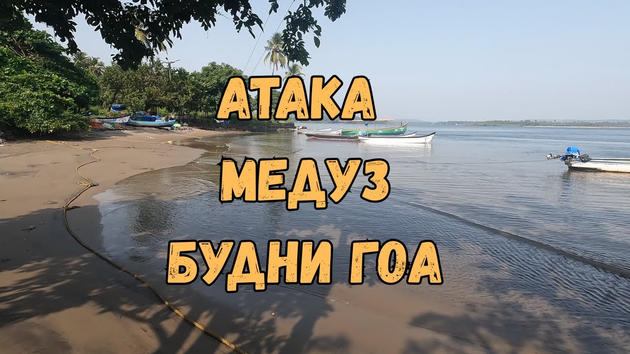 Будни в Гоа : Давлю медуз на пляже, молчу в красивом храме.
