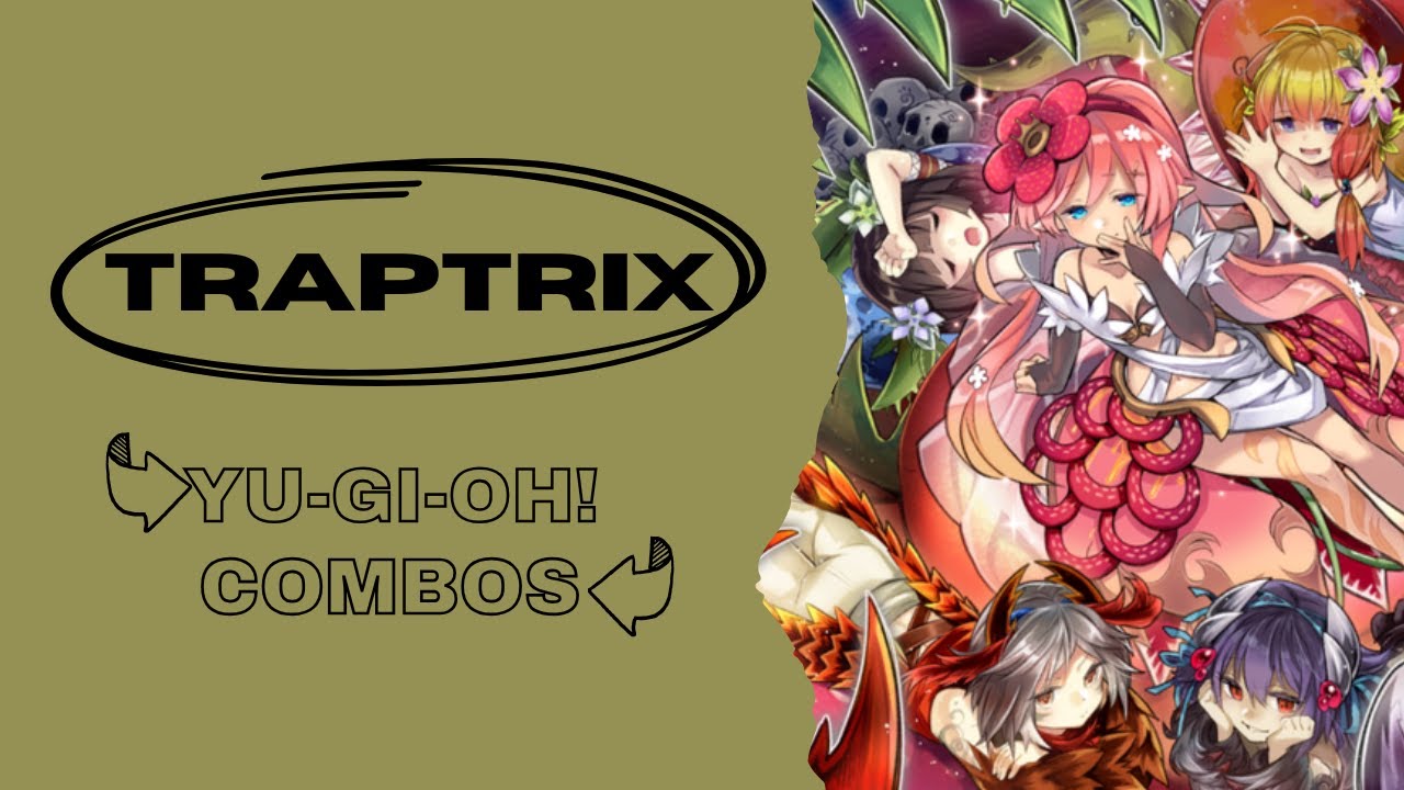 Yu-Gi-Oh! Traptrix Superheavy Samurai Combos 2024 (ft Cattycorn) Traptrix Post Legacy of Destruction