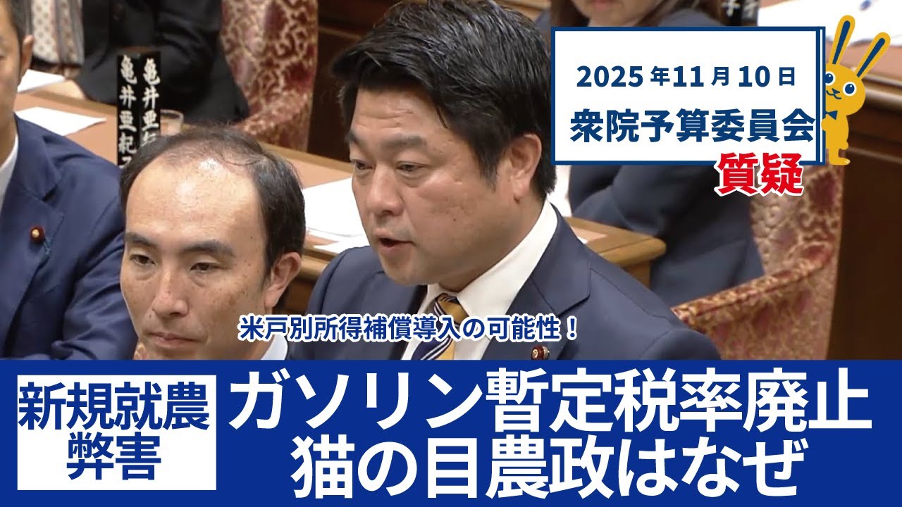 2025年11月10日　予算委員会質疑_ガソリン暫定税率廃止！猫の目農政はなぜ？米戸別所得補償導入の可能性！