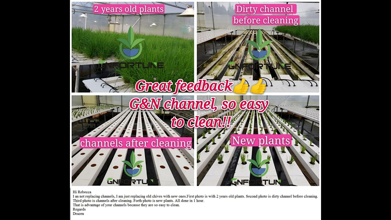 How to clean hydroponic NFT system? So easy!