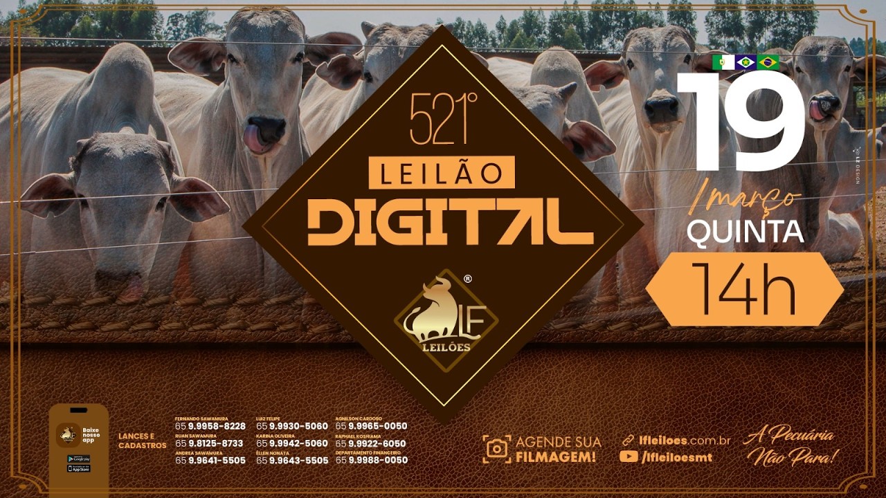 521º  Leilão Digital da LF Leilões  19 03 2026 14:00 horas.
