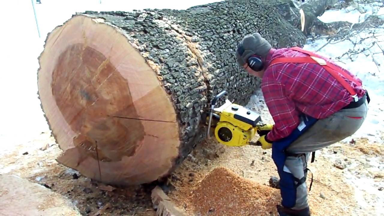 McCulloch 840 long cut