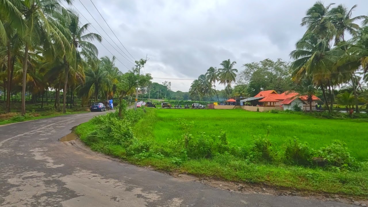 Walking tour| Village and farmland road walk in India | Palakkad | kerala state| south India | India