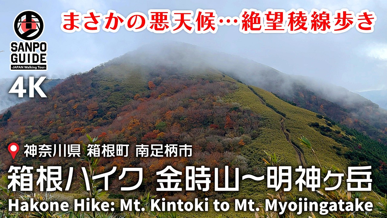 【箱根ハイキング】金時山から明神ヶ岳まで縦走！絶景稜線歩きと紅葉ハイク 4K｜神奈川散歩