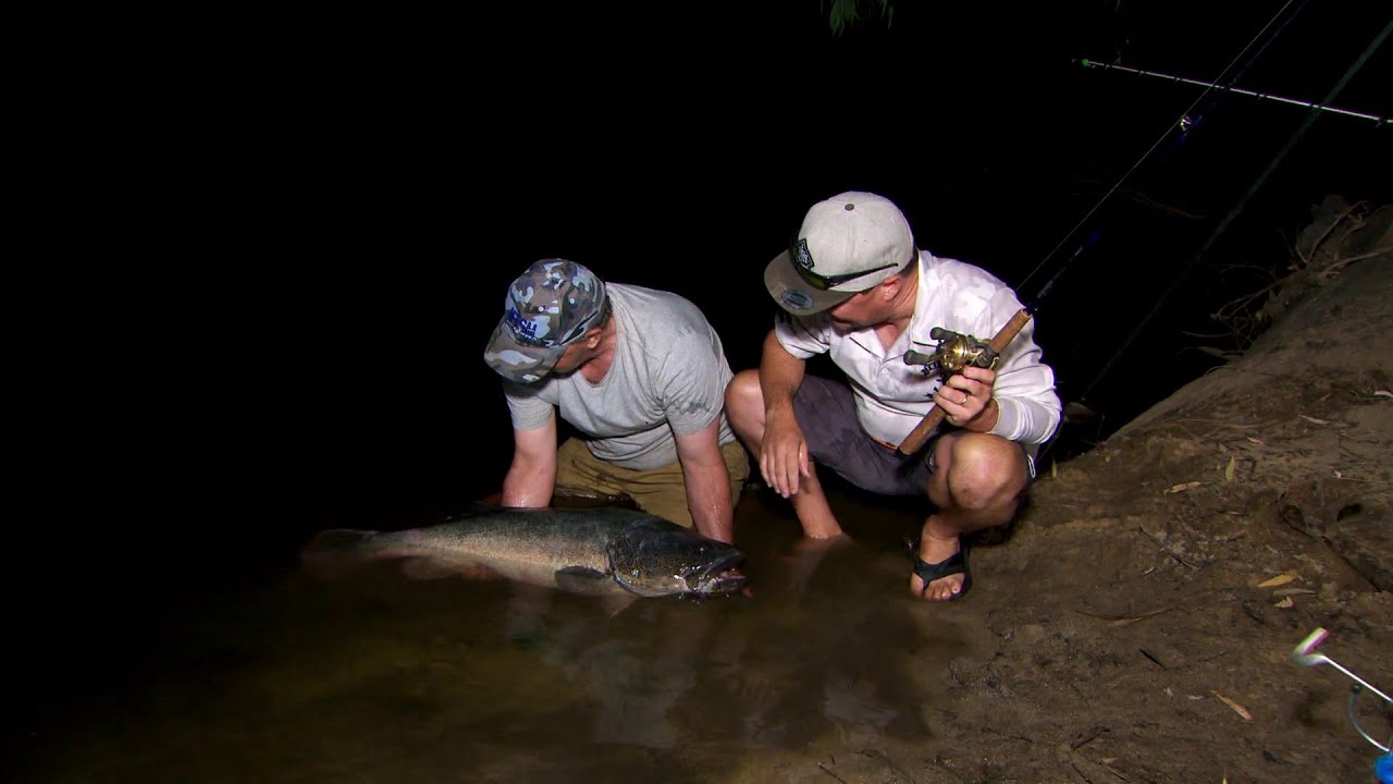 IFISH - Ovens River Murray Cod (1m+ Cod on BAIT!)
