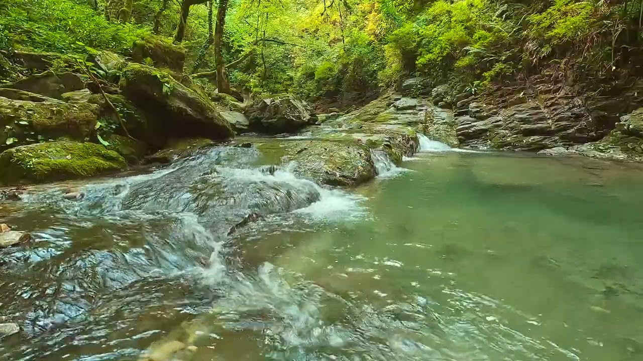 Gentle Stream Sounds for Relaxation, Sleep, and Stress #relaxation #focus #meditation