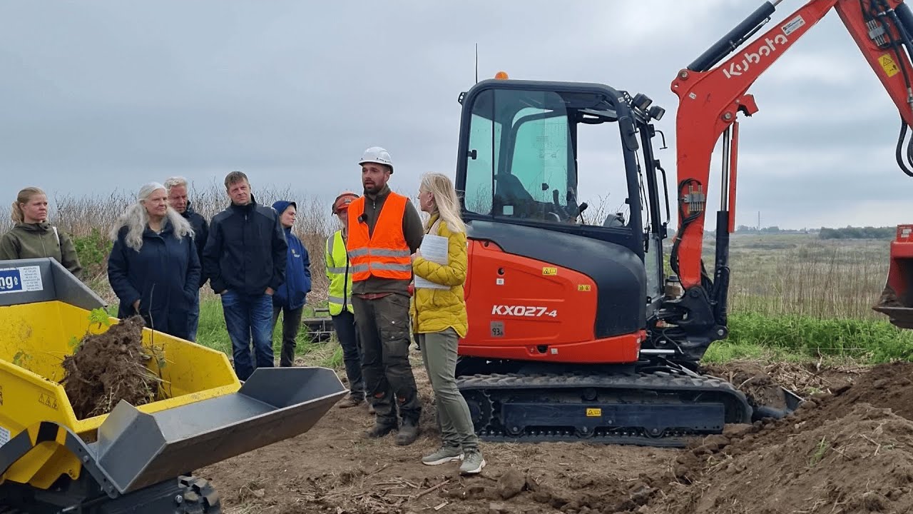 Opgravning af pileurt med sorterskovl i St. Hede, Roskilde Kommune