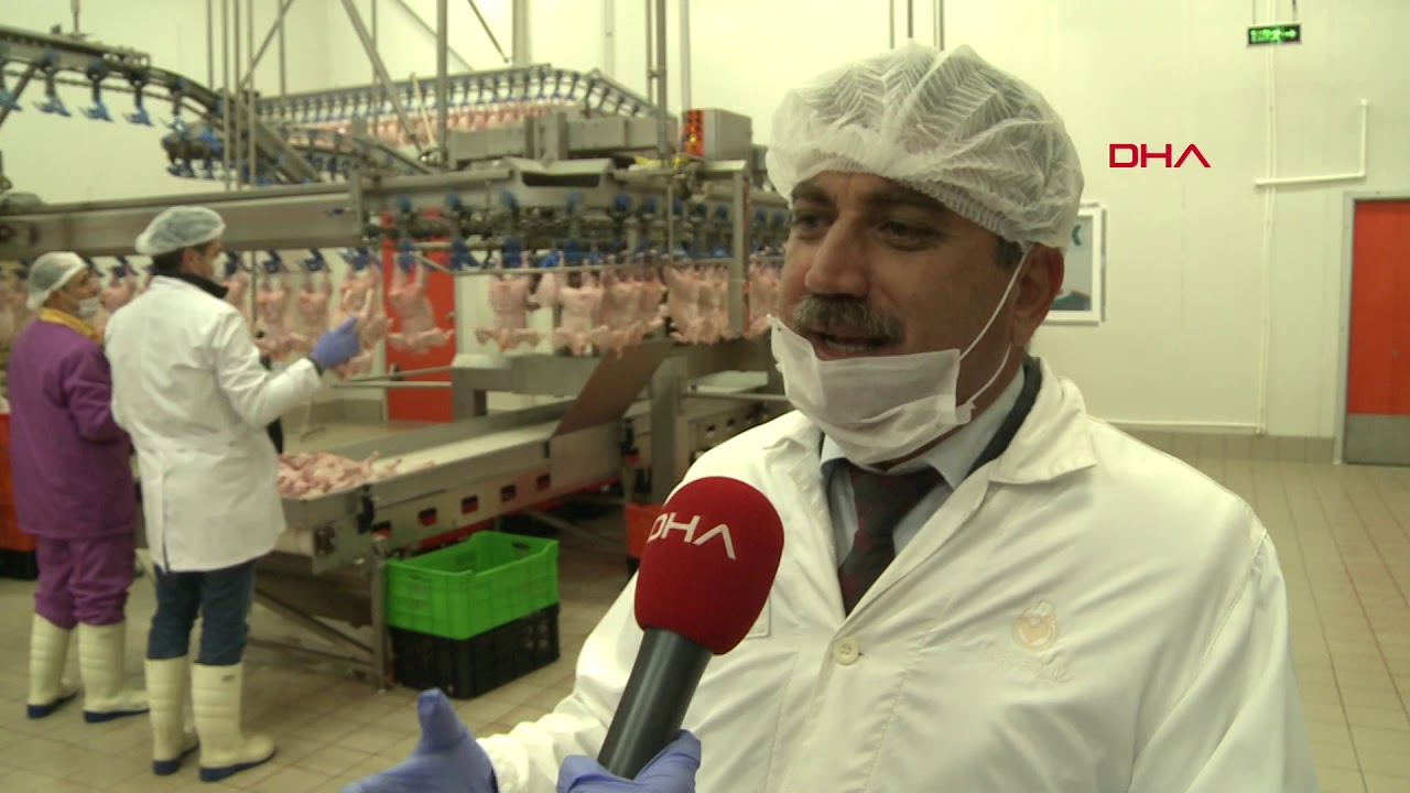 Japonlar, tavukta aradığı lezzeti Bursa'da buldu
