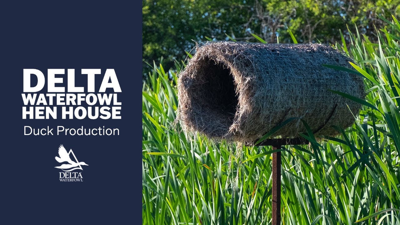 Delta Hen House build  | Material list in the description