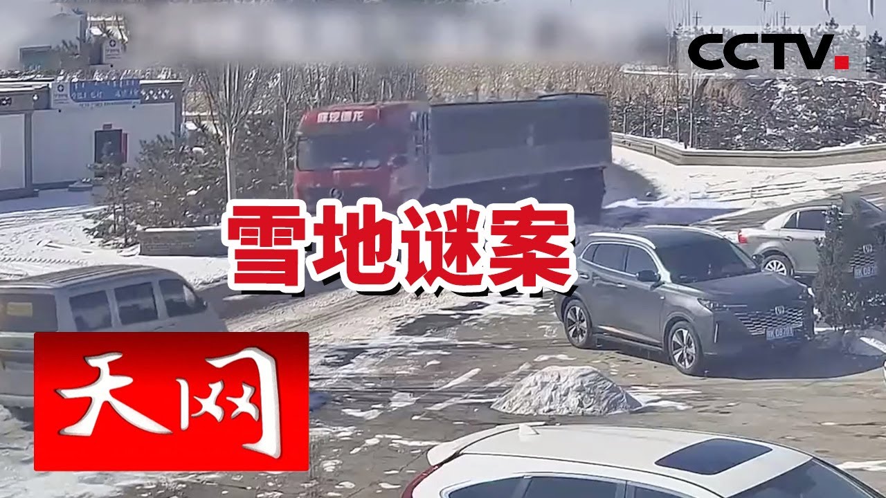 《天网》老人失踪 刨开积雪 赫然发现老人尸体！究竟发生了什么？20231116 | CCTV社会与法