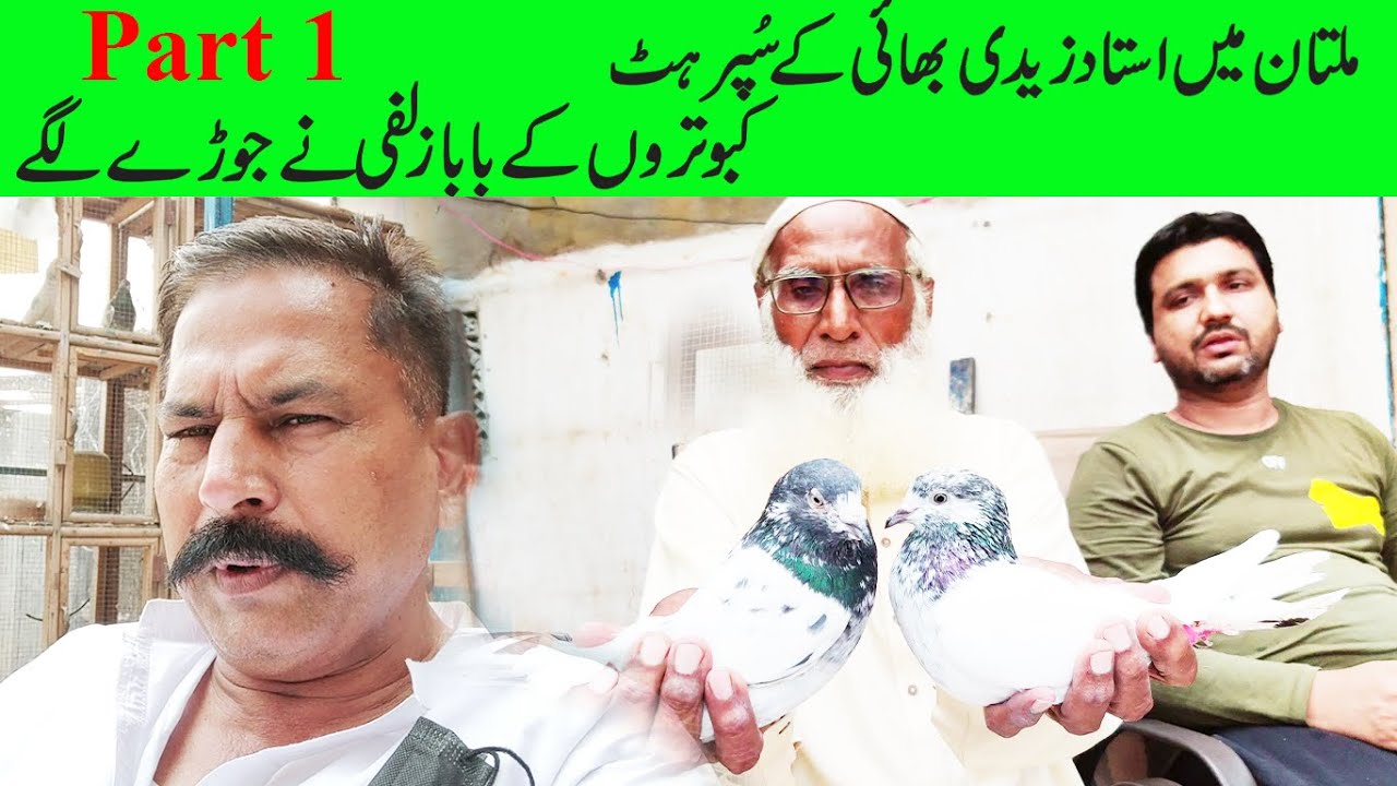 ustad zulfi ustad zadi ke jore lga rhe hn (03004515078)