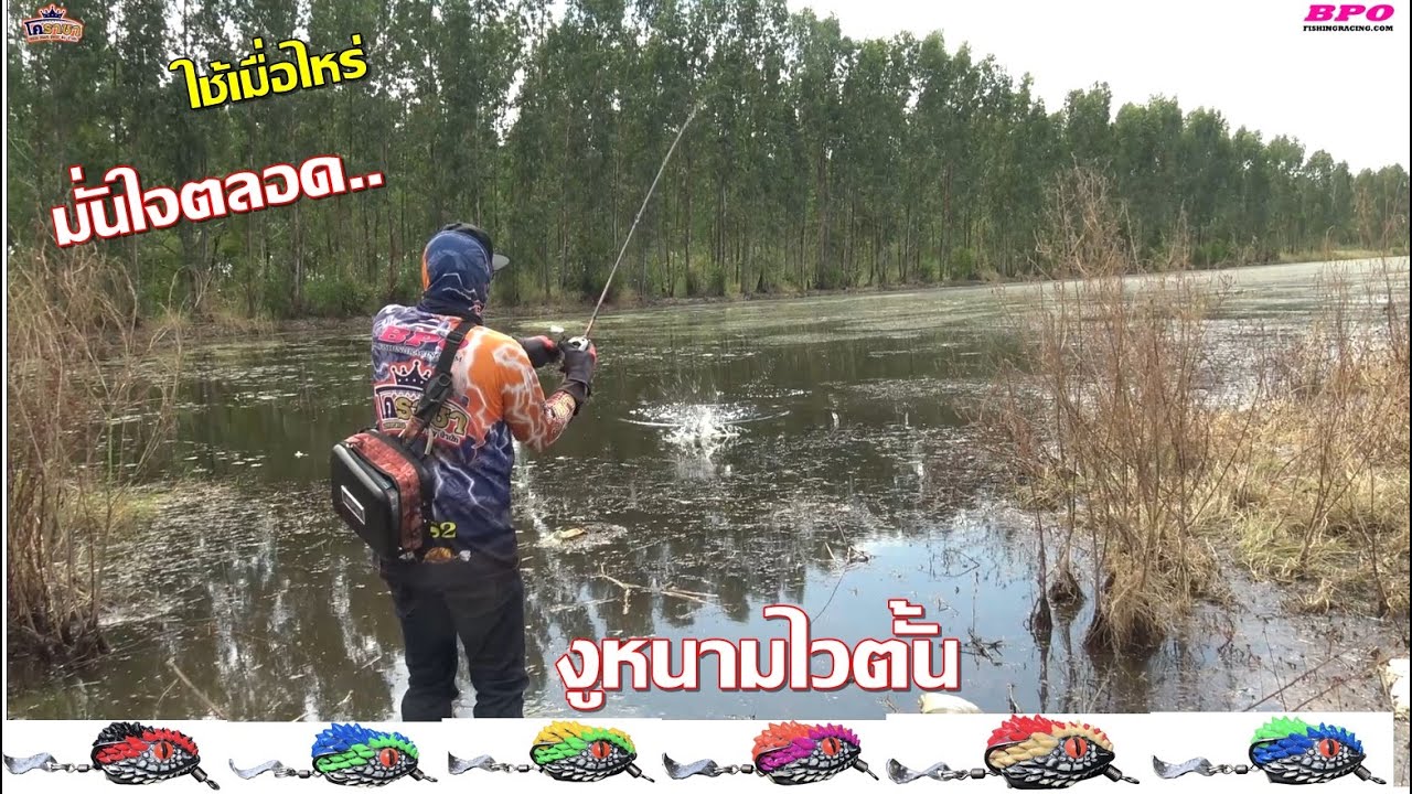 เหยื่อรุ่นนี้ น้านัทบอก ใช้เมื่อไหร่ มั่นใจ ไม่เคยแห้ว #งูหนามไวตั้น #ตกปลาช่อน