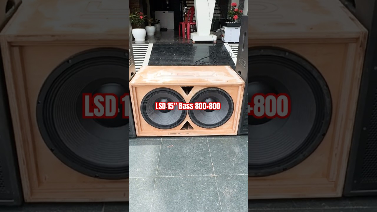 LSD 15&rdquo; Bass 800+800 Best Vibration #lsdlsd
