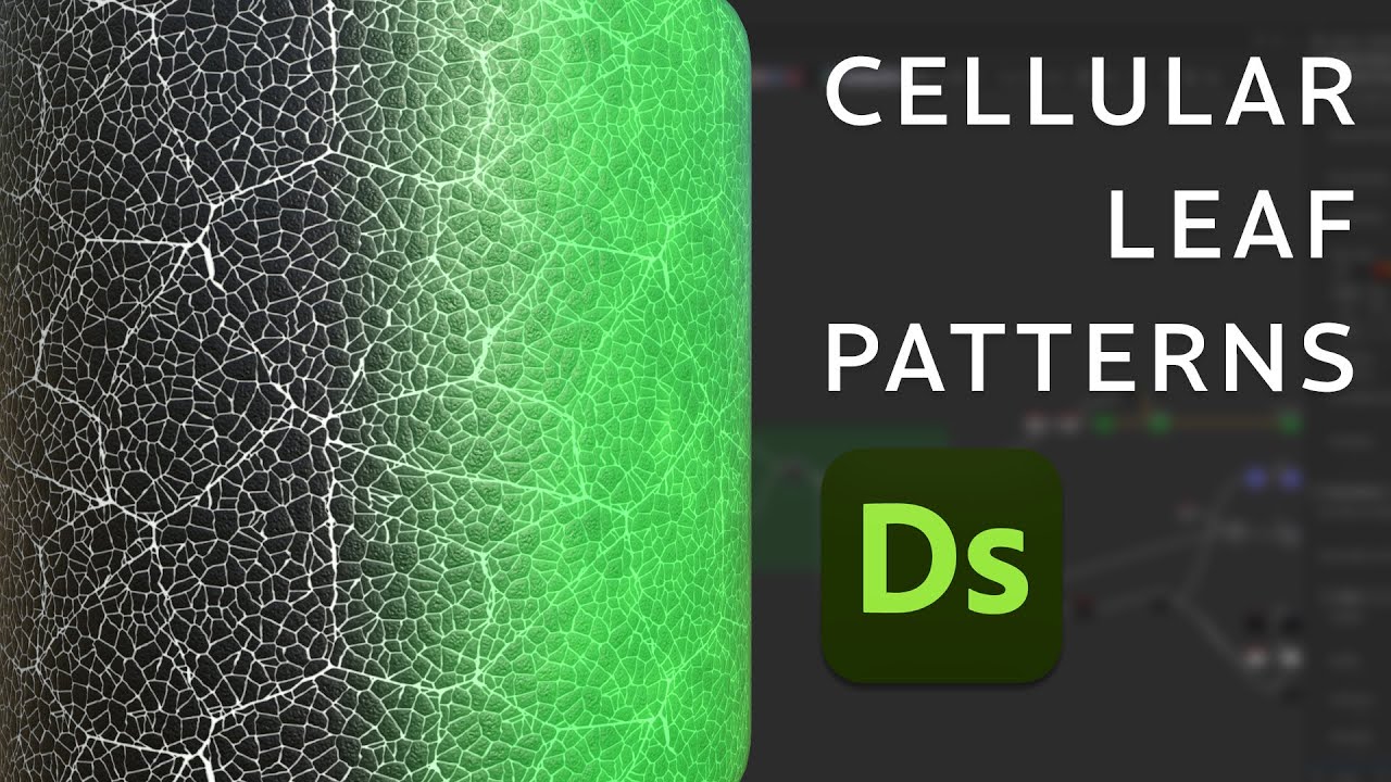 Create Leaf Patterns in Substance Designer