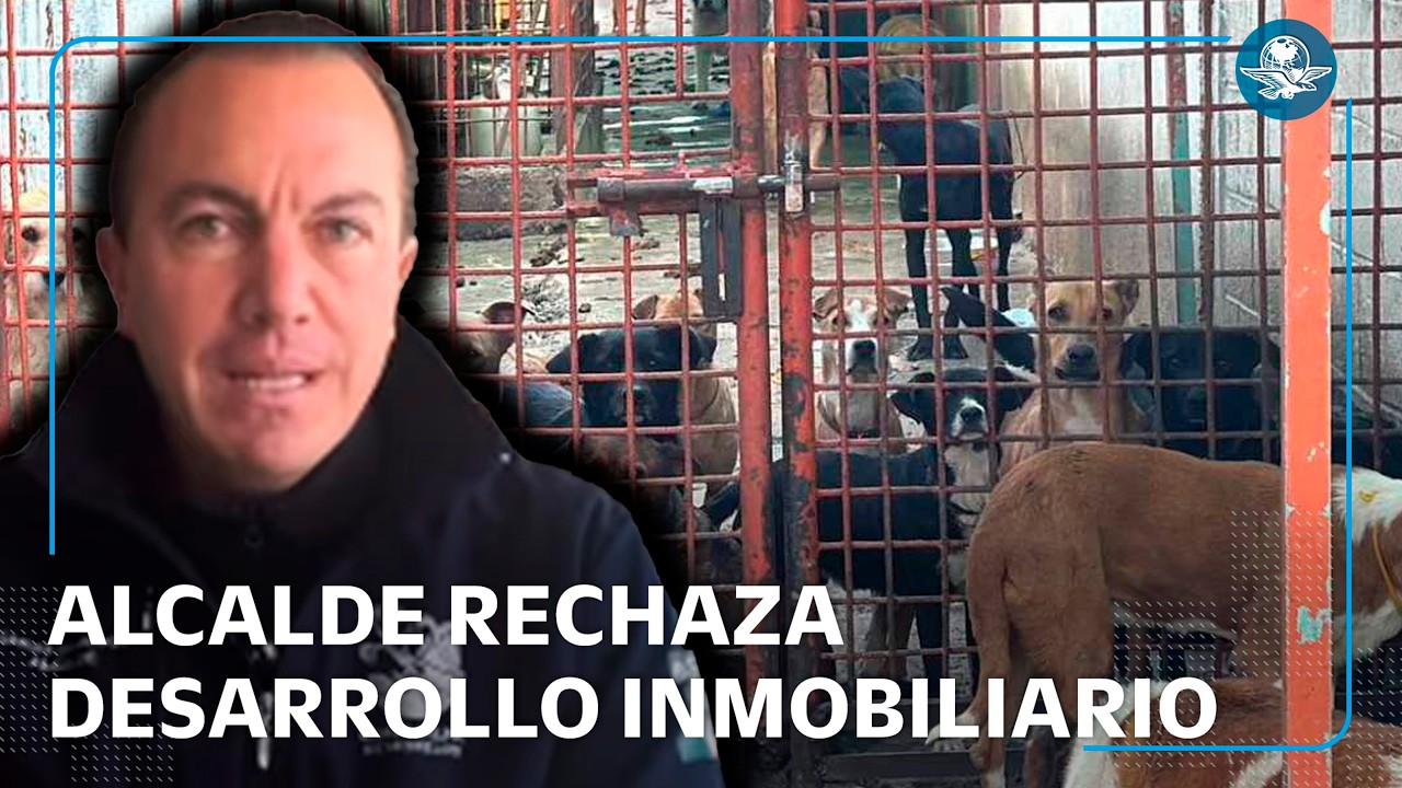 Alcalde de Cuajimalpa se lanza contra desarrollo inmobiliario en predio de Refugio Franciscano