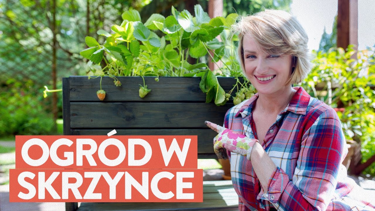 Jak założyć ogród w skrzynce? | Ula Pedantula #305