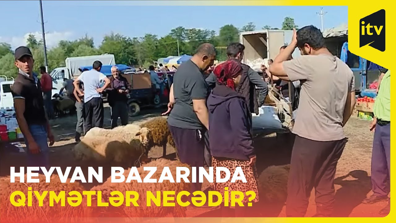 Qazaxın heyvan bazarında qiymətlər necədir?