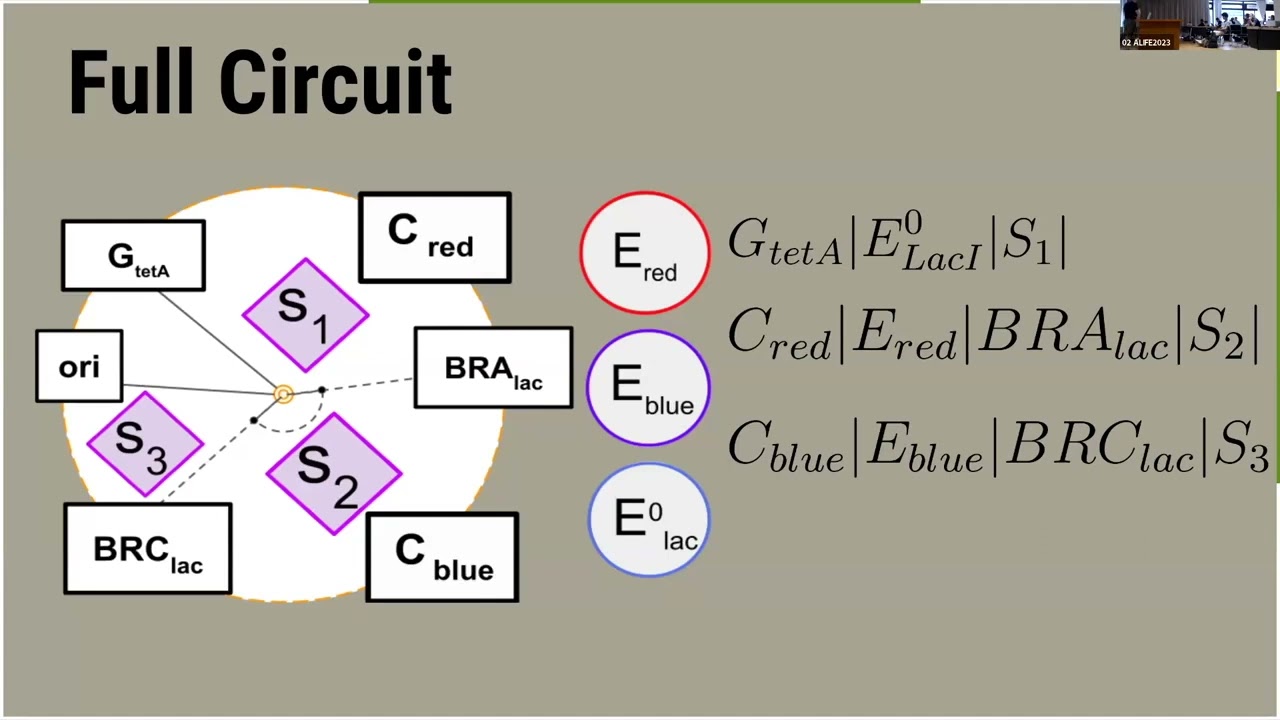 ALIFE2023: A π-calculus Model of Supercoiling DNA Circuits