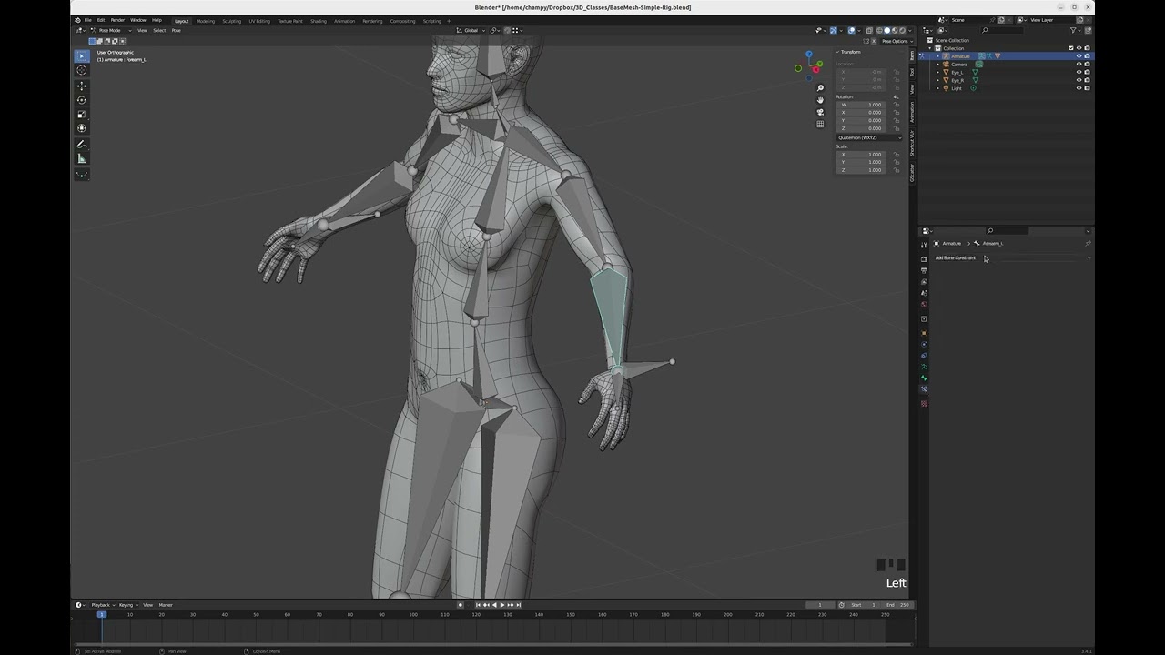Blender Tutorial 33 - IK Controllers and Bone rolls