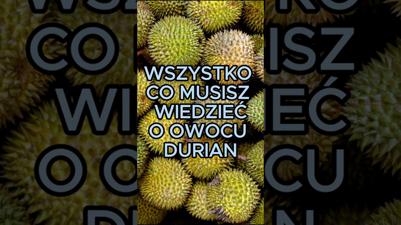 Durian - owoc, kt&oacute;rego zapach znienawidzisz ale smak pokochasz...