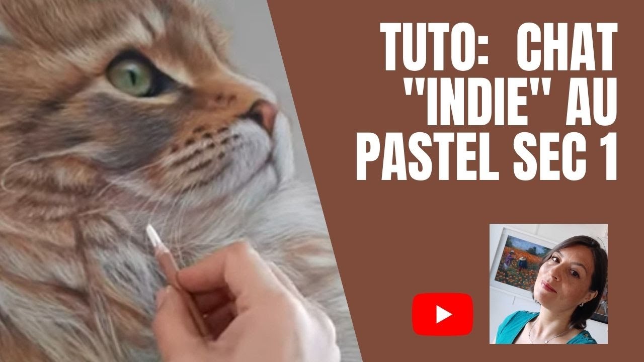 TUTO: Comment dessiner un chat  aux crayons pastel  Partie 1/3