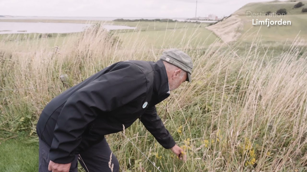 Skarregaard på Mors - Destination Limfjorden