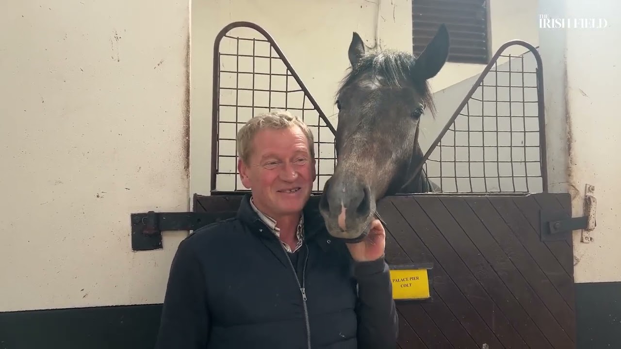 Stable Stories - Tony Mullins