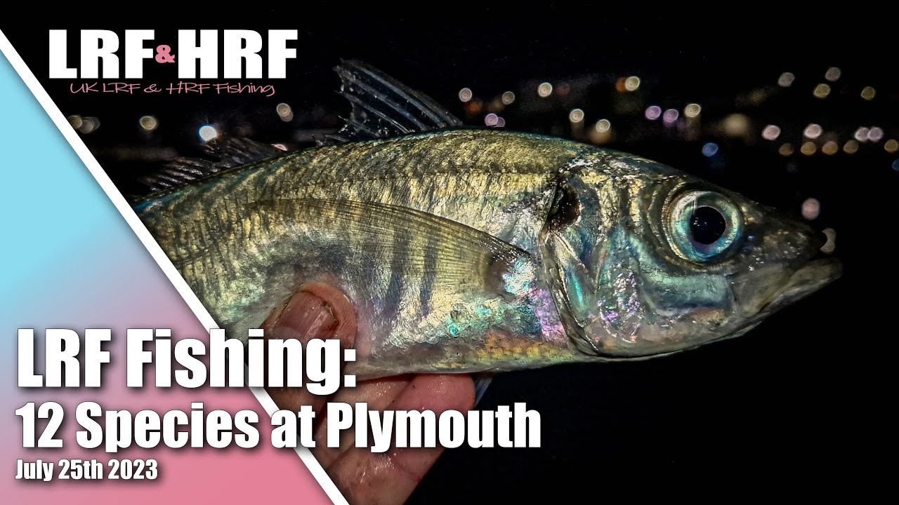 LRF Fishing:  Scad, Bass, Mackerel & More! 12 Species Session at Plymouth