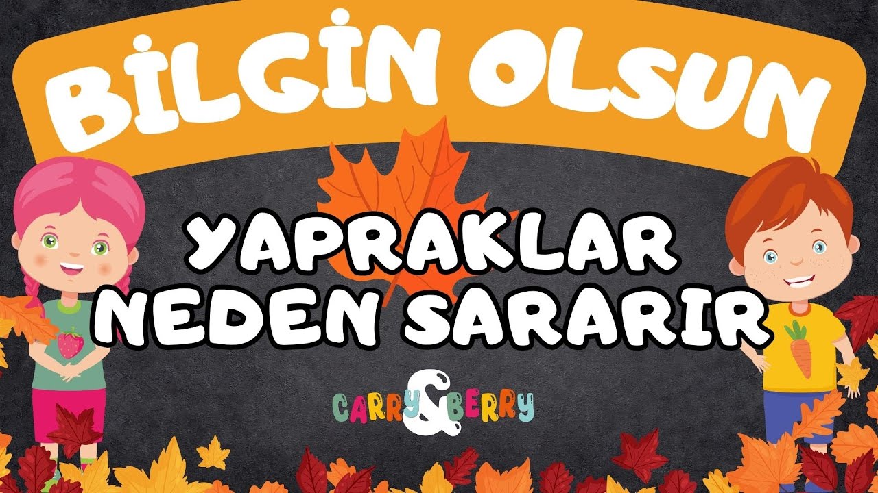 Çocuklar İçin Belgesel | BİLGİN OLSUN | YAPRAKLAR NEDEN SARARIR?  MEVSİMLER | MEVSİMLERİ ÖĞRENİYORUM