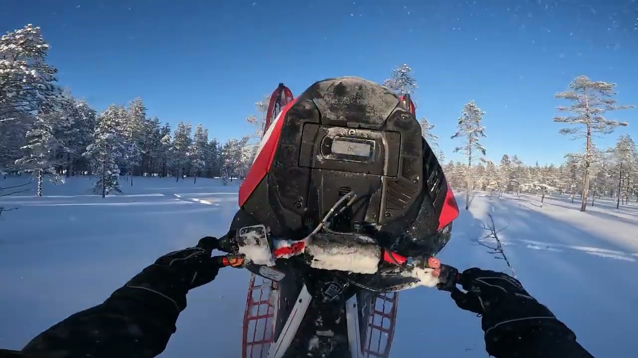 Logging Road Climb | Lynx Shredder RE Turbo