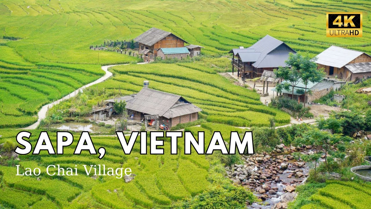 Sapa Vietnam 🇻🇳 Walking Tour To Lao Chai Village 🌞Most Beautiful Place in Vietnam 🚠 4k video 60fps