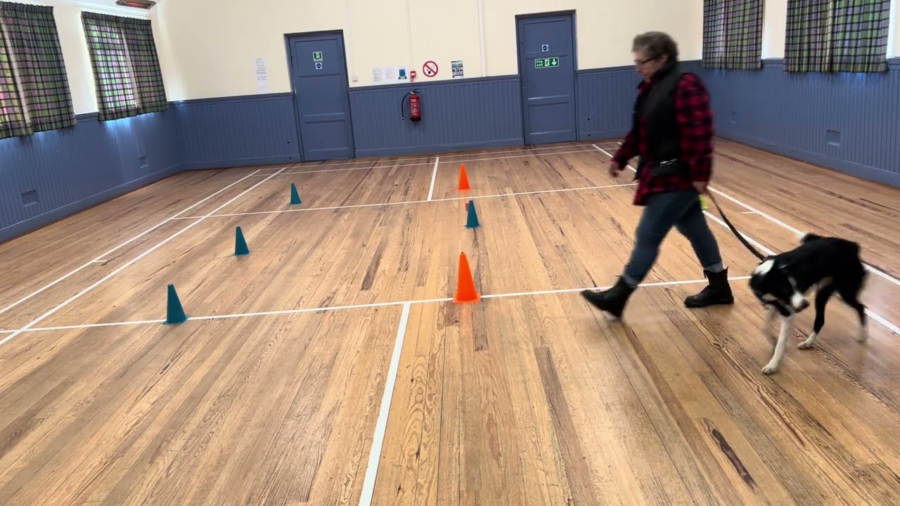 Gypsy Training 2 - January 2026