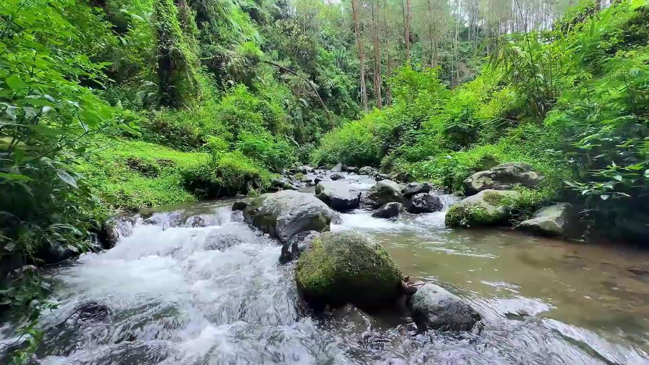 Let nature calm your spirit with river sounds tonight in a shaded woodland creek area